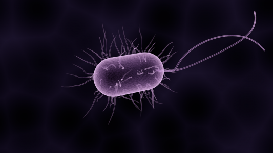 FreeMart PureSilver Kills All Harmful Bacteria