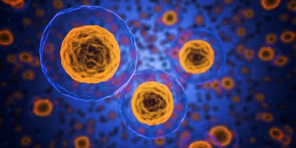 Harmful Bacteria