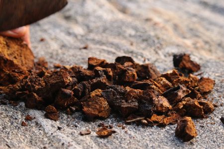 Chaga Mushroom Dried