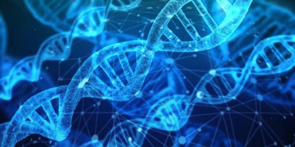 DNA Strings