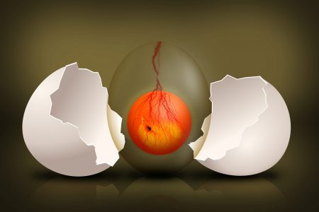 Incubated Egg Extract